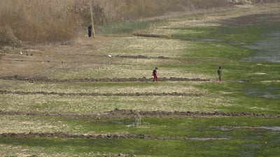 ميسان: لا مياه في نهر السلام.. والأمراض الجلدية تهدد حياة الأهالي (فيديو)