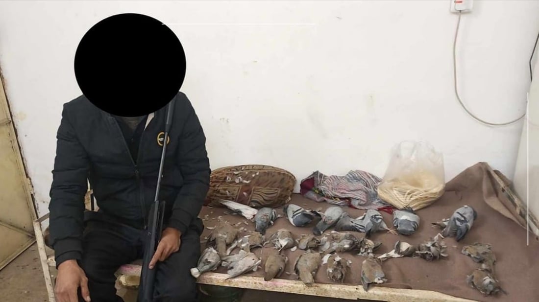 Over 140 suspects detained for illegal hunting and tree felling in Garmiyan