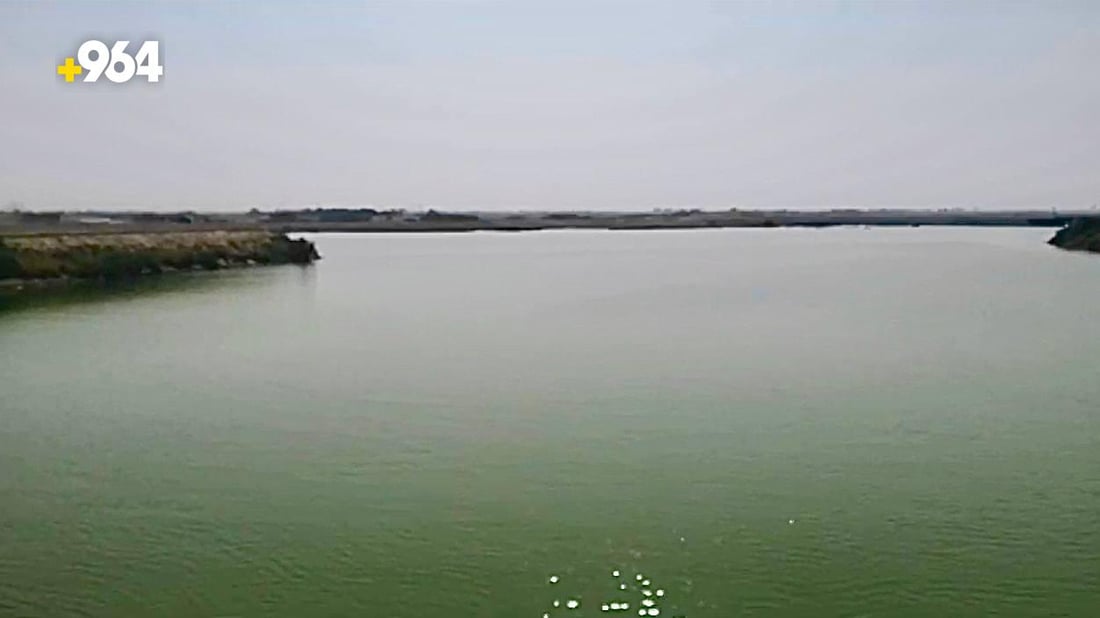 صور من البصرة: مياه السويب لا تصلح حتى للمواشي.. الجزر يأتي ملوثاً من شط العرب