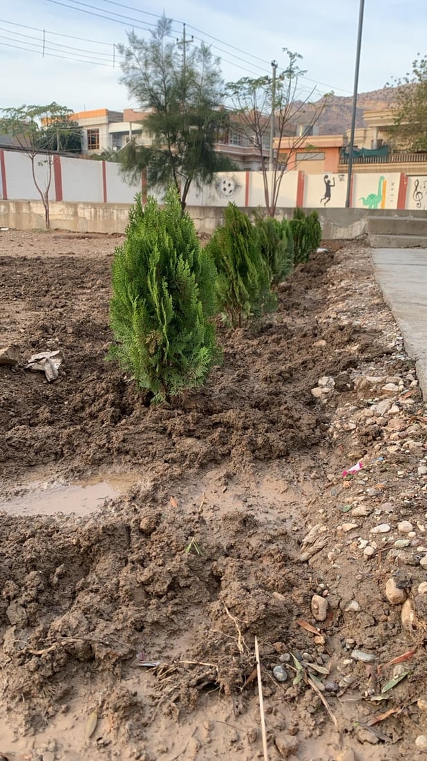 ژینگەی سلێمانی بەنزینخانەیەکی پابەندکرد پڕۆژەی لەبرى سەوزكردن جێبەجێ بکات