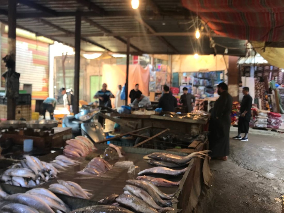 بحري النقعة ونهري البصرة القديمة.. الأسماك أغلى اليوم في سوق الزبير (صور)