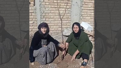 دایکێک بۆ گیانی کوڕە لەسێدارەدراوەکەی بایکۆتی هەڵبژاردنی کرد و دارێکی چاند