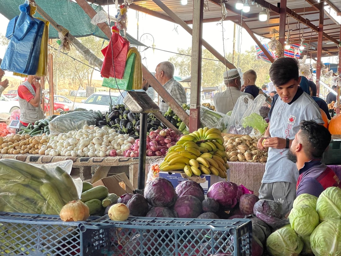 علوة كركوك: الباميا العراقية “مغرورة” بـ4 آلاف.. والمشمش يختفي بسرعة (صور)