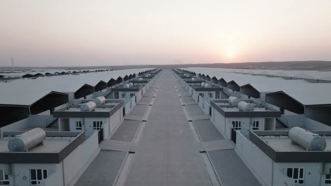 50هەزار ئاژەڵ بەیەکەوە جێگەیان دەبێتەوە 