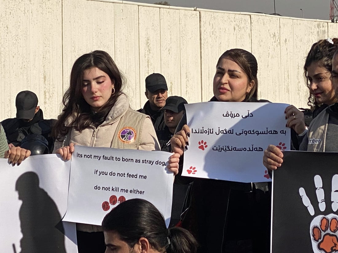 ئاژەڵدۆستان دژی کوشتنی سەگ لەبەردەم بارەگای یو ئێن گردبوونەوە