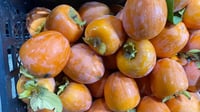 Persimmon farmers in Duhok struggle to market their produce despite growing local popularity