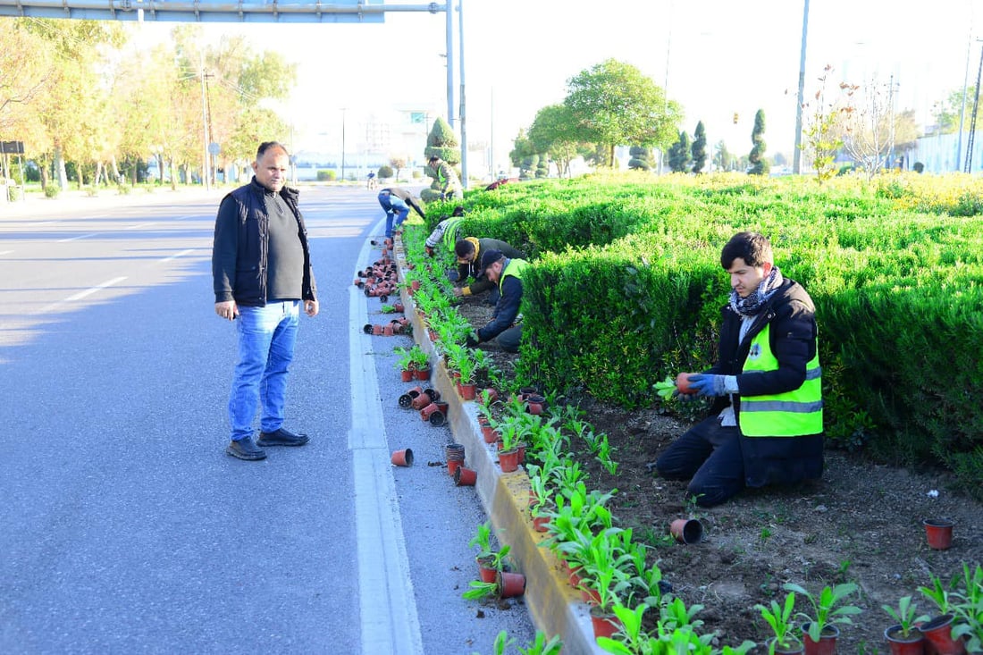 هه‌ولێر پڕ له‌ گوڵى (هه‌میشه‌ به‌هار) ده‌كرێت