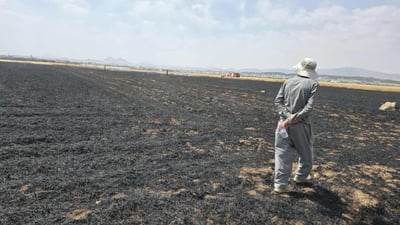 ئاگرەکەی ناڵپارێز 200 داری سوتاندووە