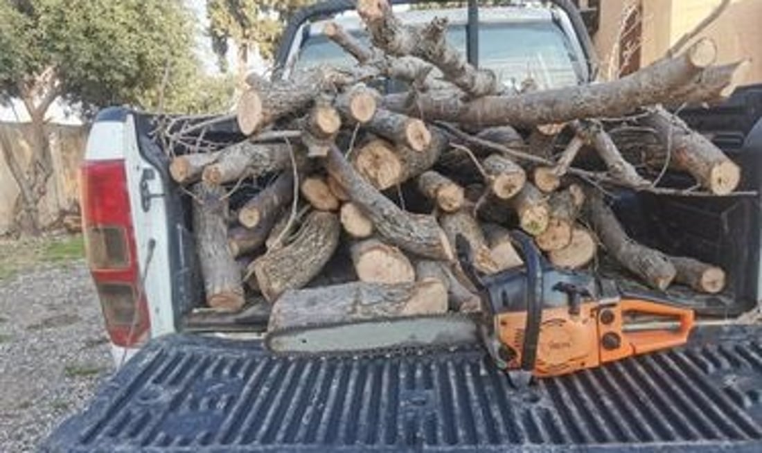 Sulaymaniyah forest police arrest six