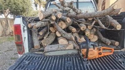 Sulaymaniyah forest police arrest six