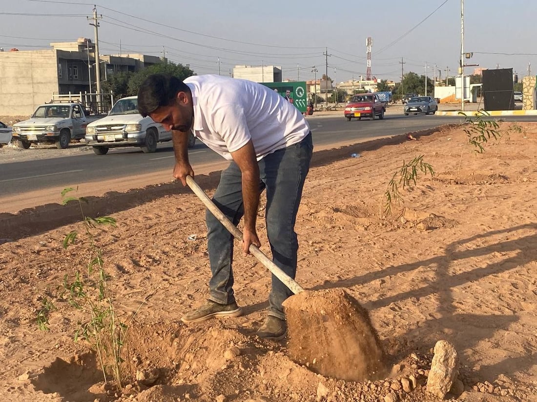گەنجانی کفری دەیانەوێت 10 کیلۆمەتر شەقام بە نەمام سەوز بکەن