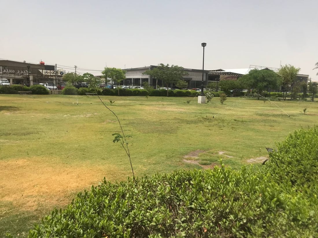 صور تهدئ الأعصاب: أشجار وثيل طبيعي لتزيين متنزهات البياع غربي بغداد