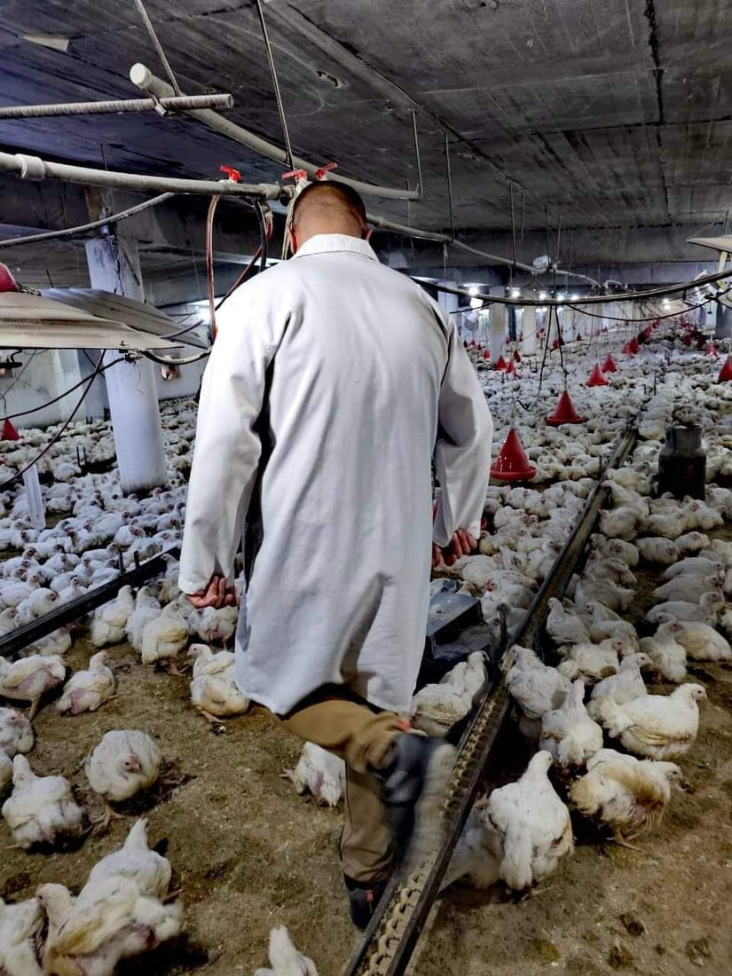 خورماتوور هه‌ڵمه‌تێكی ده‌ستپێكردووه‌ بۆ سەلامەتی ئاژه‌ڵ و باڵنده‌ و مرۆڤه‌كان