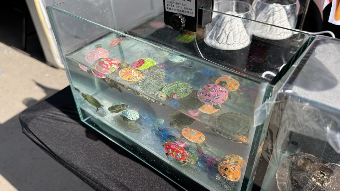 معرض العراق الدولي للكتاب.. كتب وبازارات تجذب الزوار (صور)