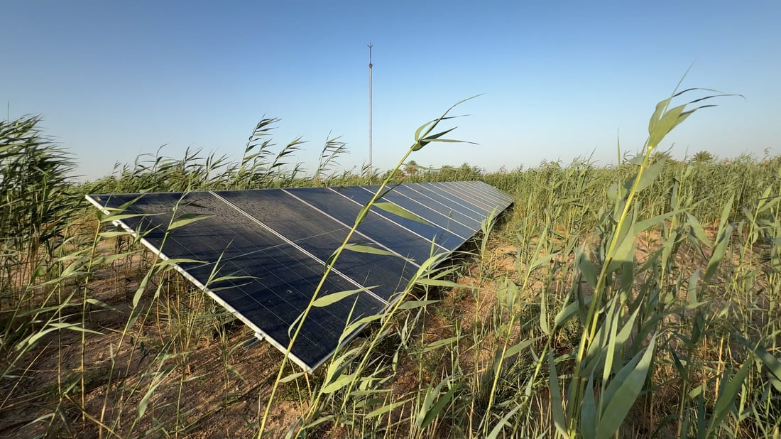 Basra farmer combines solar power and fixed irrigation to boost yields, cut water use