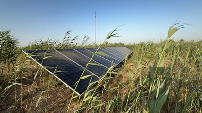 Basra farmer combines solar power and fixed irrigation to boost yields, cut water use