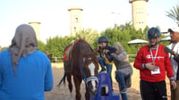 فروسية بغداد: ركوب الخيل ينتج طاقة كهربائية تعالج التو