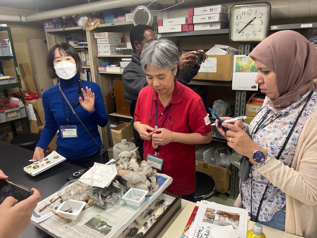 تیمێکی شوێنەواری سۆران لە ژاپۆن ڤیدیۆی تایبەتی مۆزەخانەیەکیان بۆ 964 ناردووە