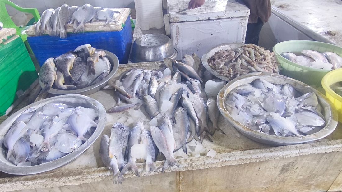 صور من مزاد الفاو الصباحي: زوج الصبور 150 ألف وإن لم يعجبك فالزبيدي بـ40 ألف دينار