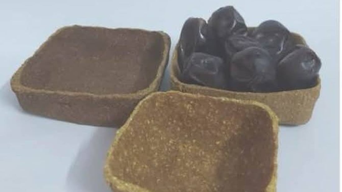 Iraqi lemon-peel packaging wins international Arab Star Pack award