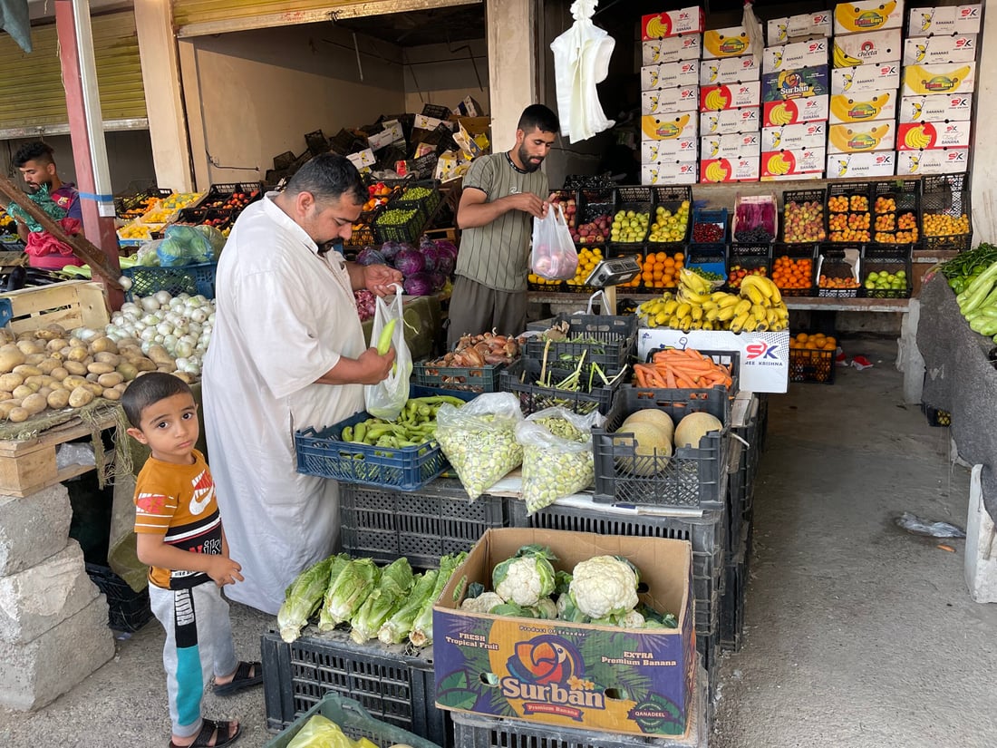 علوة كركوك: الباميا العراقية “مغرورة” بـ4 آلاف.. والمشمش يختفي بسرعة (صور)