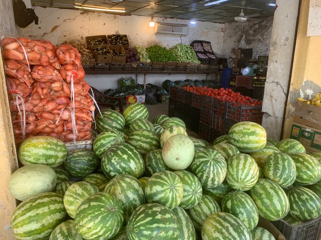 بغداد تنتظر خيرات ربيعة.. البامية إلى 3 آلاف لكنها ستتأخر قليلاً هذا العام (صور)