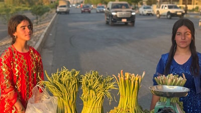 لە سیدەكانەوە رێواس دەهێنن و نزیک پاركی سامی دەیفرۆشن