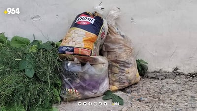 صور من دهوك: النفايات تتكدس في “شيلادزه” منذ 10 أيام.. الشركة تنتظر الكابسات
