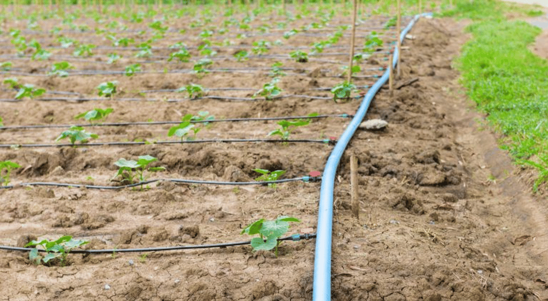 Iraq launches major water projects to combat shortages