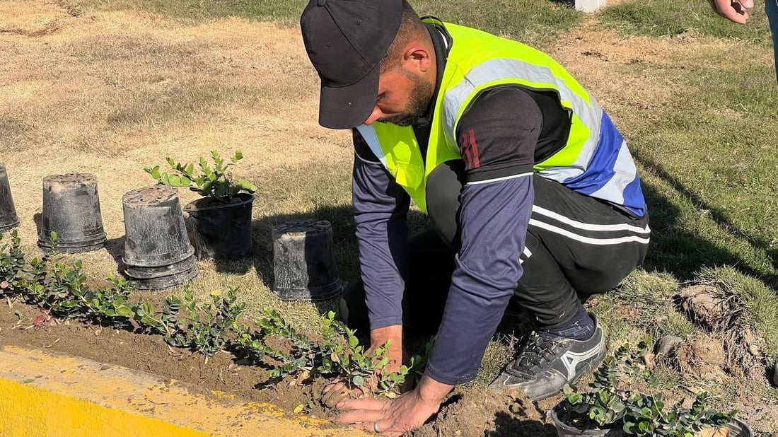 حملة التشجير الربيعية انطلقت.. صور من 8 مدن في الأنبار