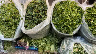 بەرهەم و گیا بەهاریەکان ئەمساڵ زۆر کەمن و نرخیان گران بووە