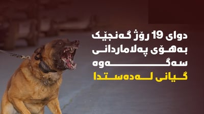 دوای 19 رۆژ گەنجێک بەهۆی پەلاماردانی سەگەوە گیانی لەدەستدا