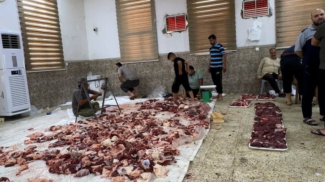 صور: 55 عجلاً و40 كبشاً لفقراء الموصل.. مساهمة المتبرعين صبيحة عيد الأضحى