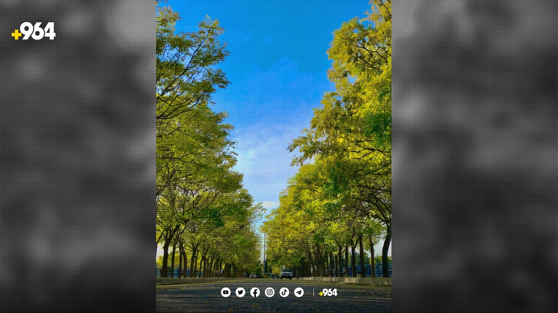 هەولێر چارەسەری وشکبوونی پارکەکانی کرد