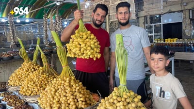 صور: مهرجان تمور حقيقي في ديالى.. خلال البرحي في مجمدات لا تفتح إلا شتاءً