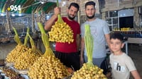 صور: مهرجان تمور حقيقي في ديالى.. خلال البرحي في مجمدات 
