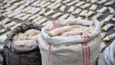 عێراق پلەی سێیەمی لە بەرەنگاربوونەوەی ماددەی هۆشبەردا بەدەستهێنا 