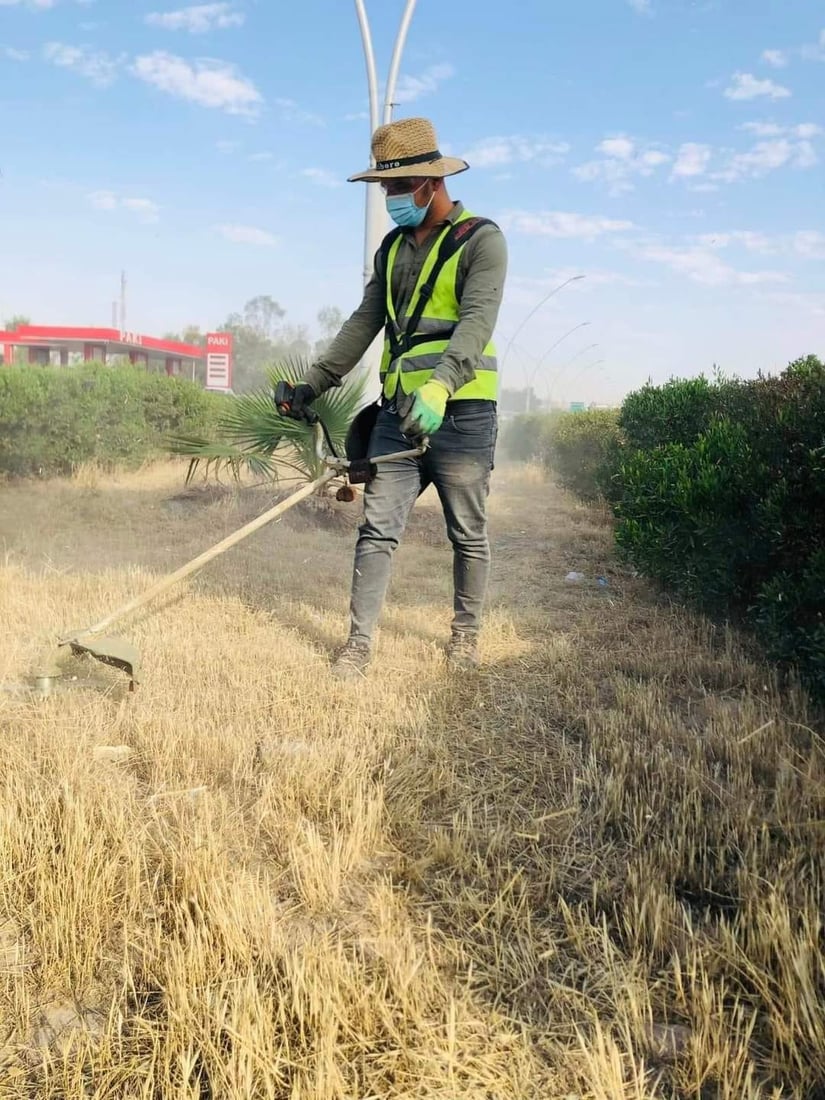 صور: أربيل تضع اللمسات الأخيرة على حملتها الكبرى لتقليم أشجار المدينة