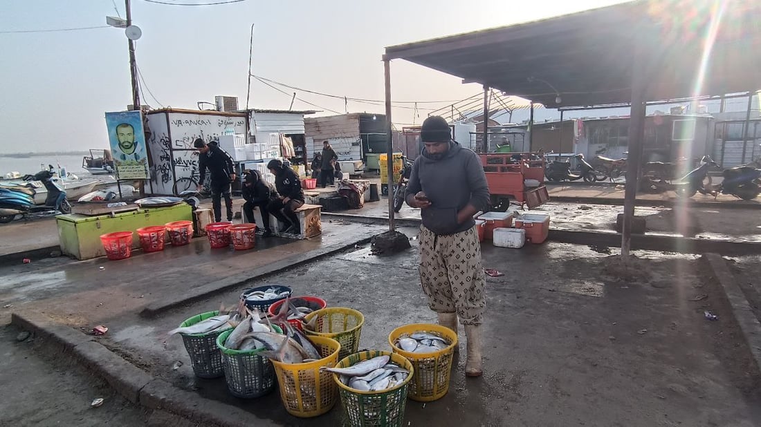 الصبور موجود حتى في الشتاء.. يتجمع بأعماق “أم ثلاث” وتصطاده شباك الغزل (صور)