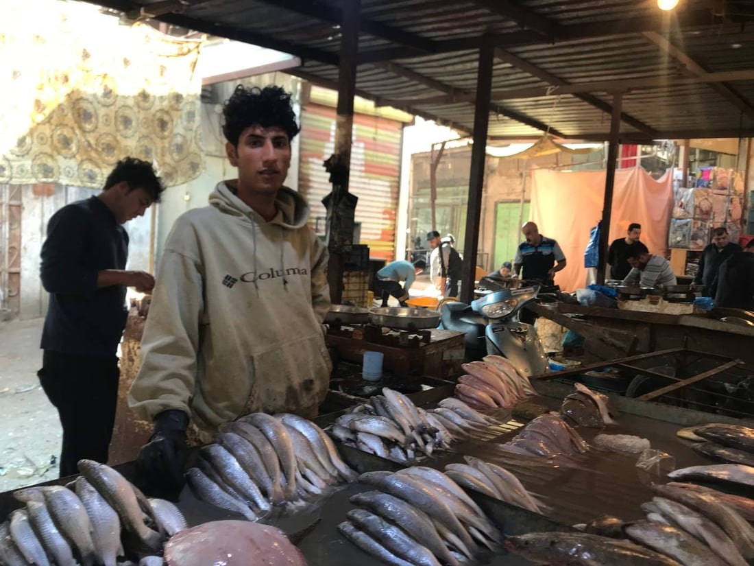 بحري النقعة ونهري البصرة القديمة.. الأسماك أغلى اليوم في سوق الزبير (صور)