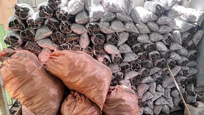 لە سیتەک سێ هاوڵاتی بە 120 فەردە خەڵوز دەستگیر کران