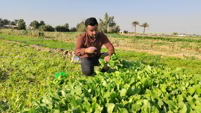 Kalar vegetable seller builds loyal following from a decade of street-to-door service