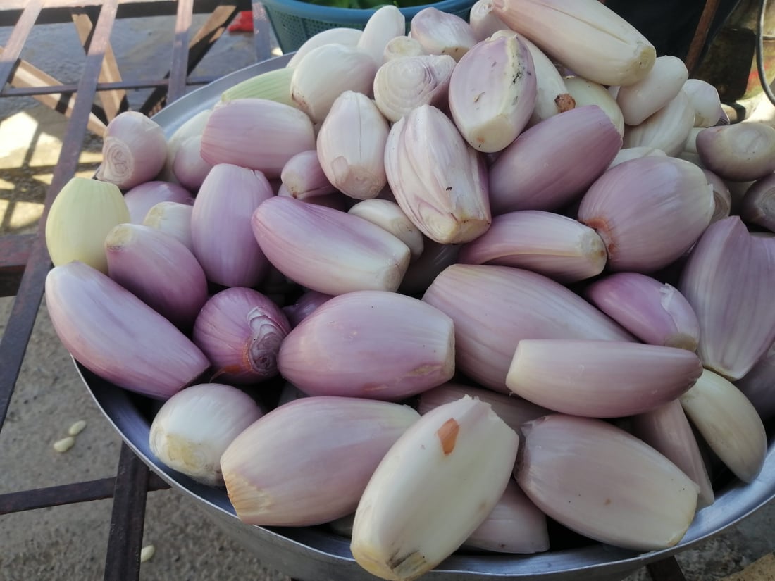 طباخ ربيعة الأشهر ياسر الجرجري: طبخت 1200 كيلو لحم بسهرة واحدة (صور)
