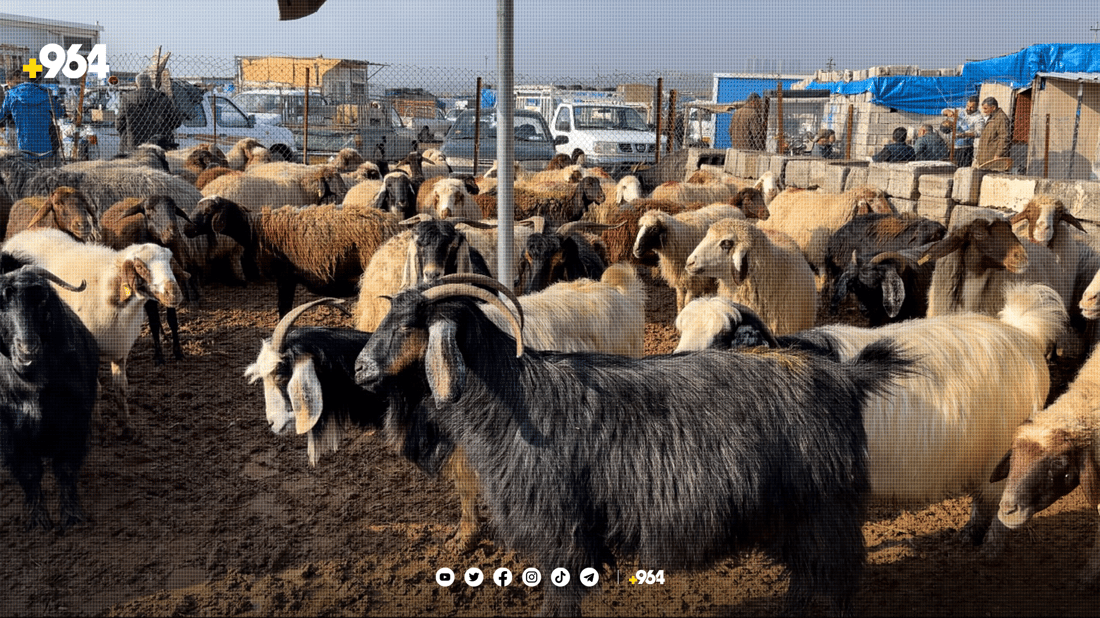 ڤێتێرنەری سلێمانی ھۆشداری دەداتە ھاوڵاتیان