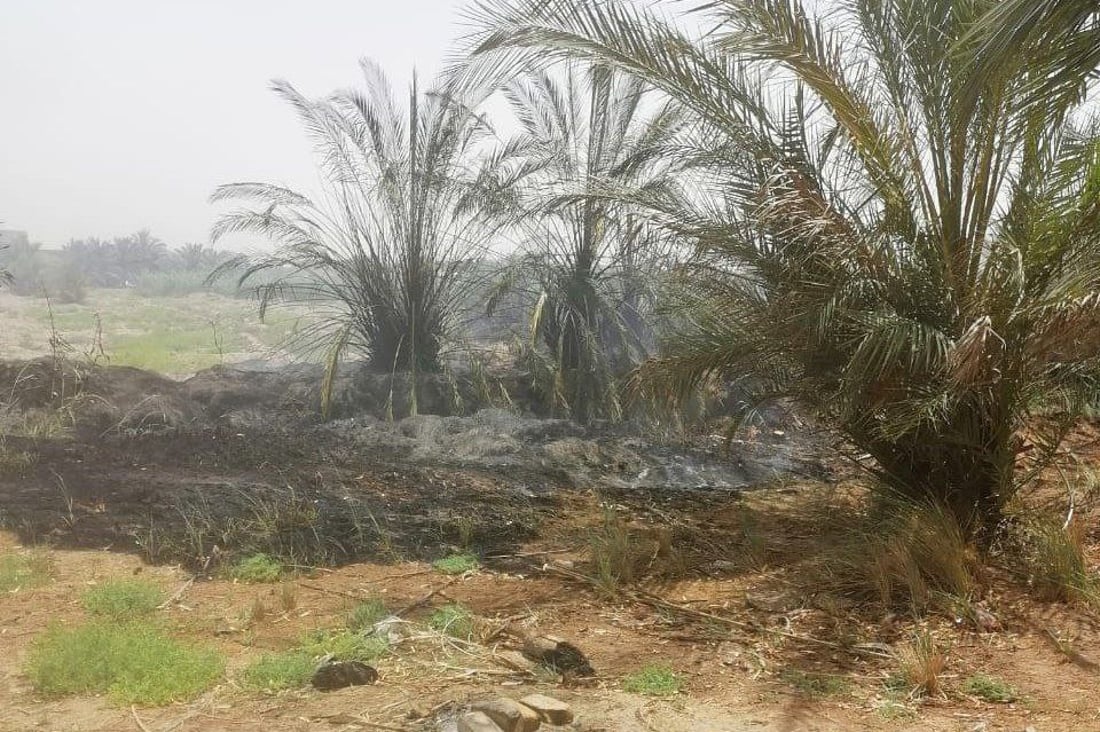 صور من الوركاء: احتراق 400 نخلة في لحظة.. محاولات ثلاثة فرق إطفاء بلا جدوى