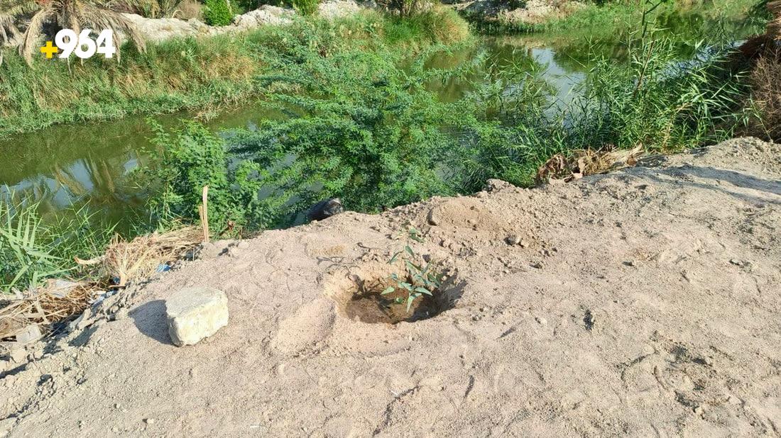 964mediaصورة من منصة (شبكة): 