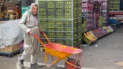 کرێکارانى عەلوەى هەولێر داواى رۆژێک پشوو دەکەین