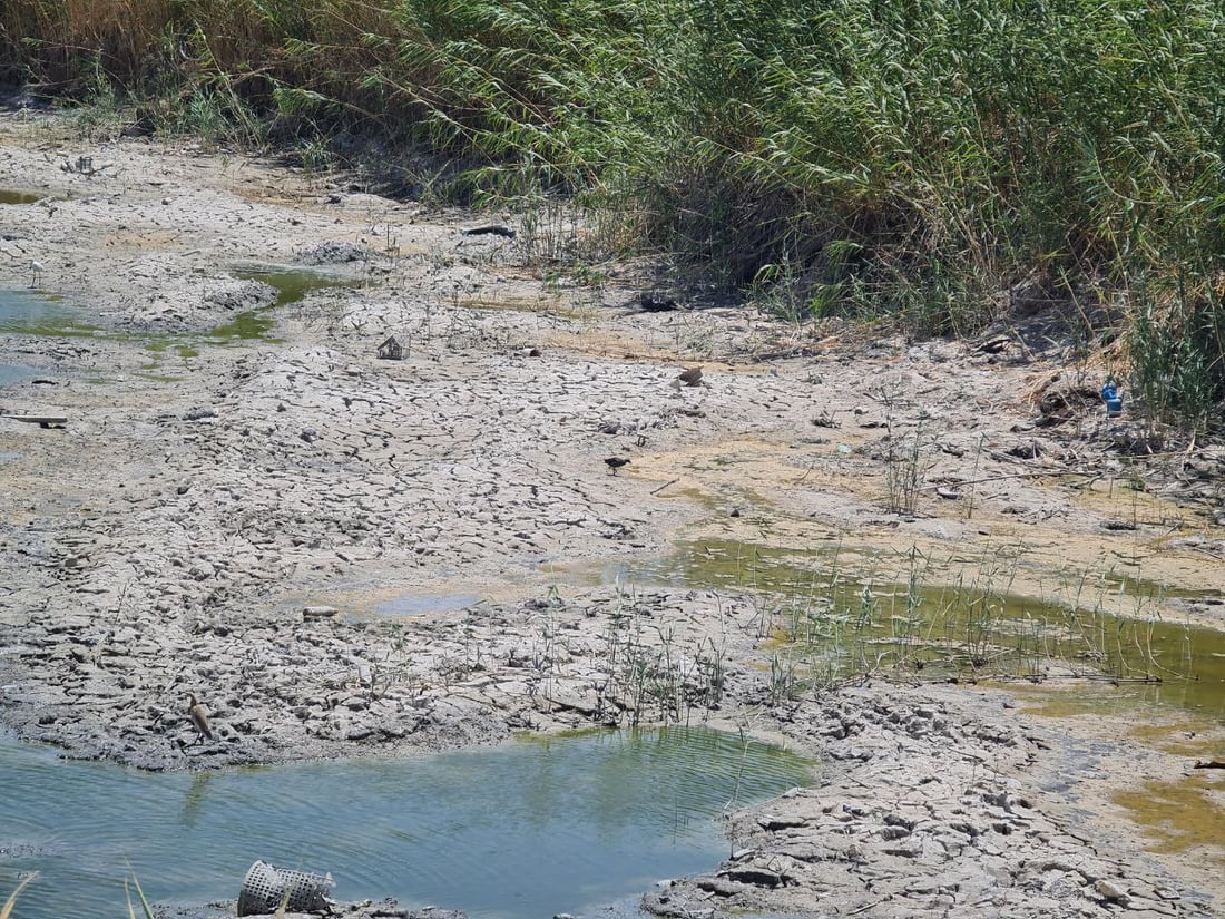 صور صادمة واستغاثة من 14 قرية في المثنى: لا ماء.. “المريبي” جف تماماً