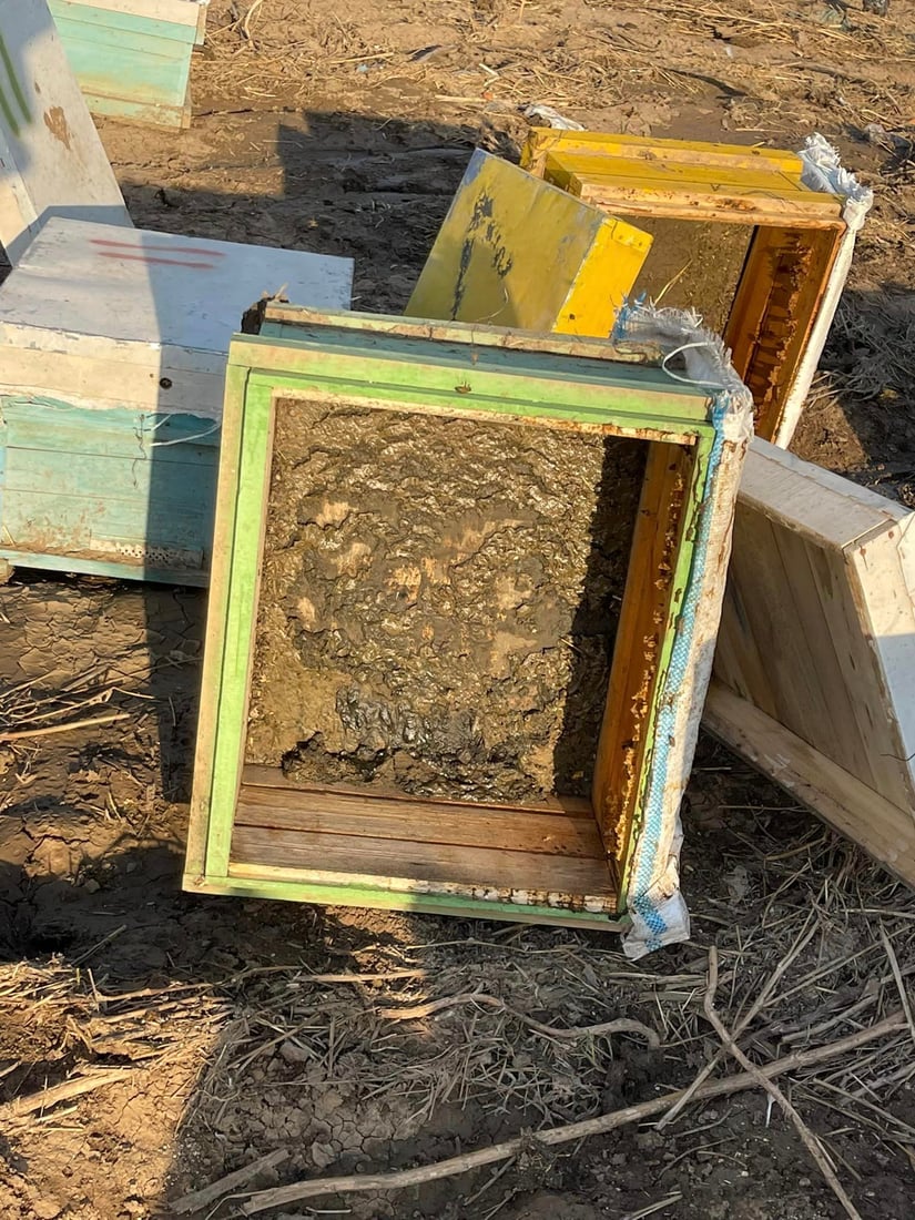 “یه‌كه‌م بارانى پاییز زیانى به‌ هه‌نگه‌كانم گه‌یاند”