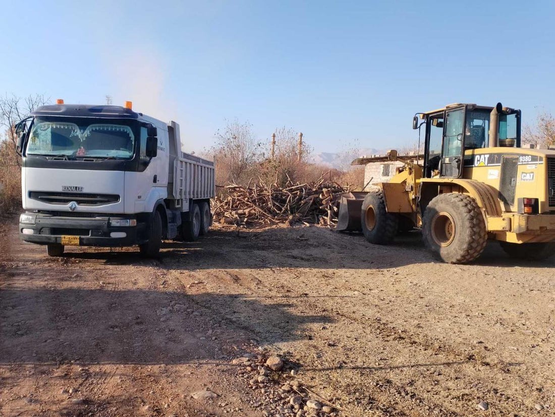 دوو گەڵابە و دووتەنییەک داری سروشتی بڕییەوە؛ دەستگیر کرا